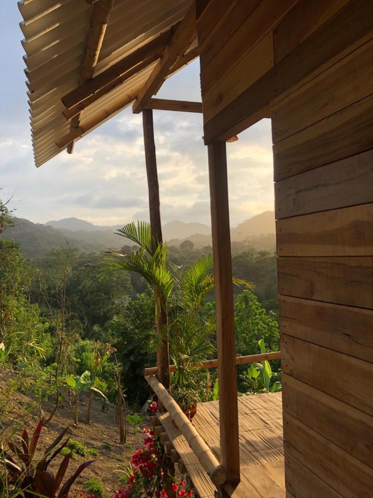 La Mona Eco Cabins 帕洛米诺 外观 照片