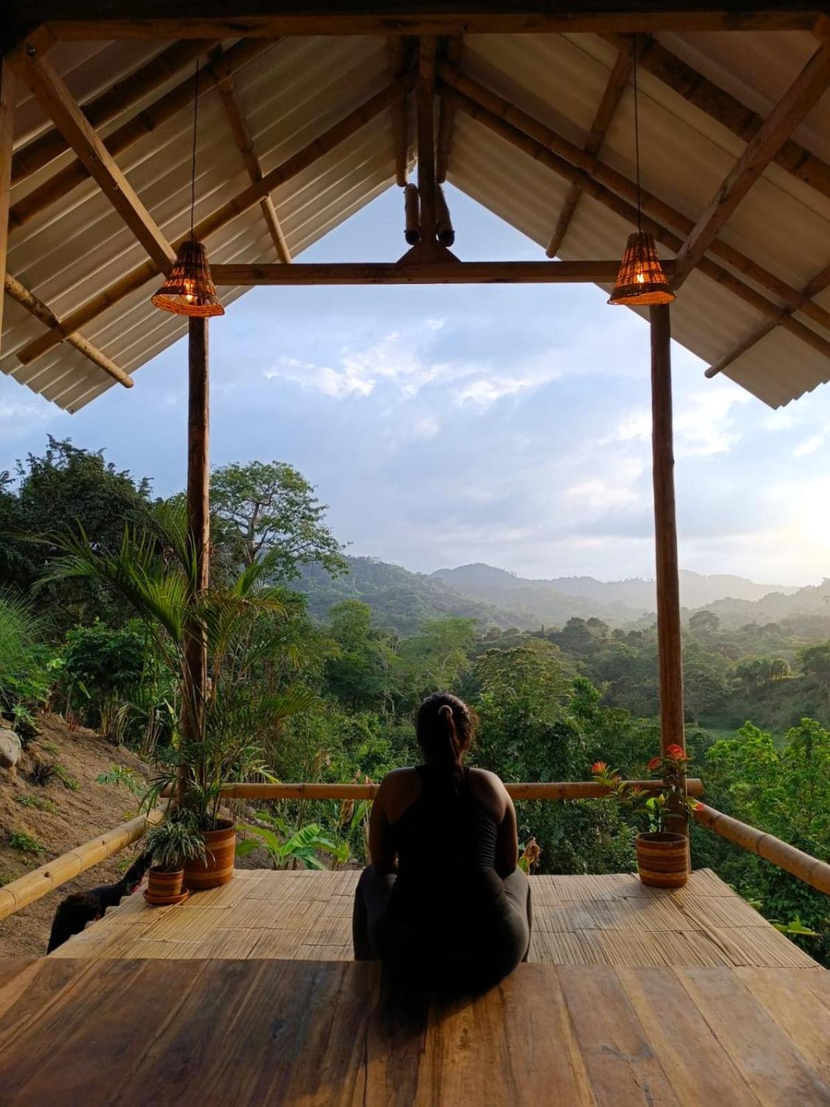 La Mona Eco Cabins 帕洛米诺 外观 照片