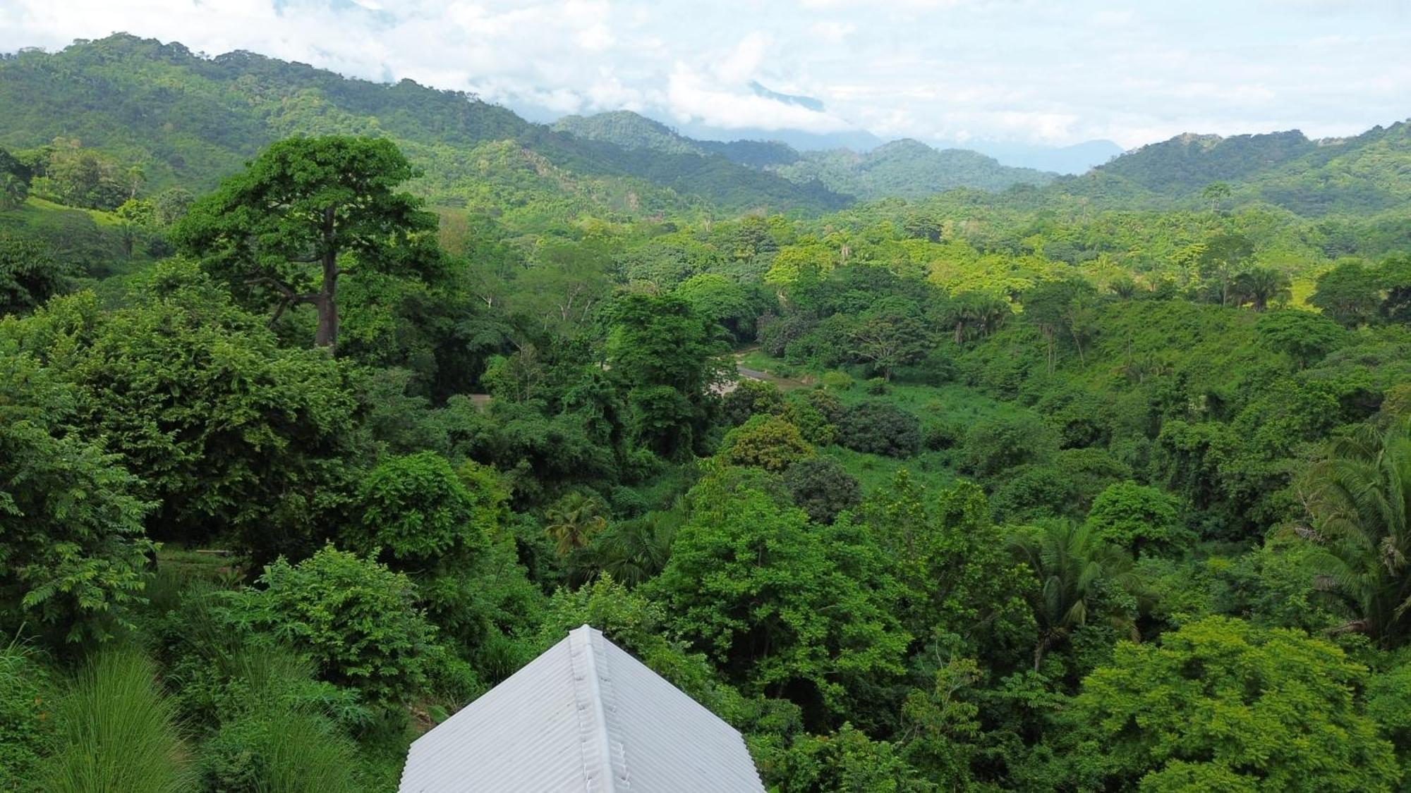 La Mona Eco Cabins 帕洛米诺 外观 照片