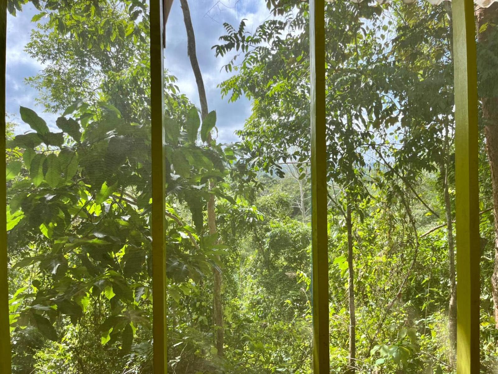 La Mona Eco Cabins 帕洛米诺 外观 照片
